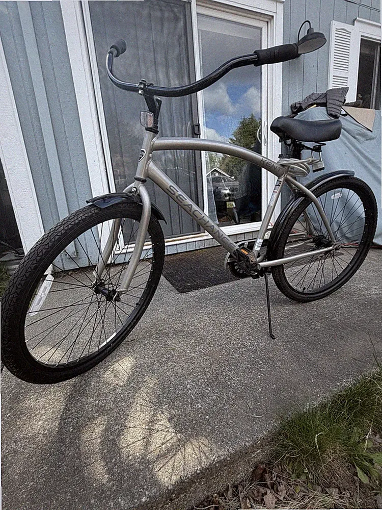 Firmstrong Cruiser Bike Gray 26in Steel 1-Speed Coaster Brake Kickstand Fenders